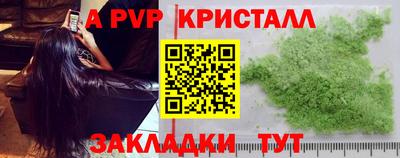 PSILOCYBIN Кингисепп